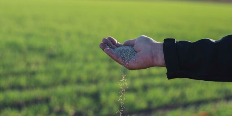 Día Mundial de los Fertilizantes: ¿podría sobrevivir la humanidad sin nitrógeno de síntesis química?