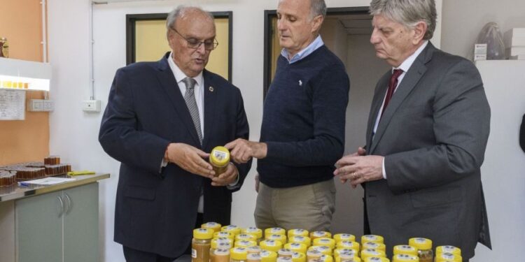 Ziliotto anunció la ampliación de la emergencia agropecuaria y dos líneas de créditos para la gruesa