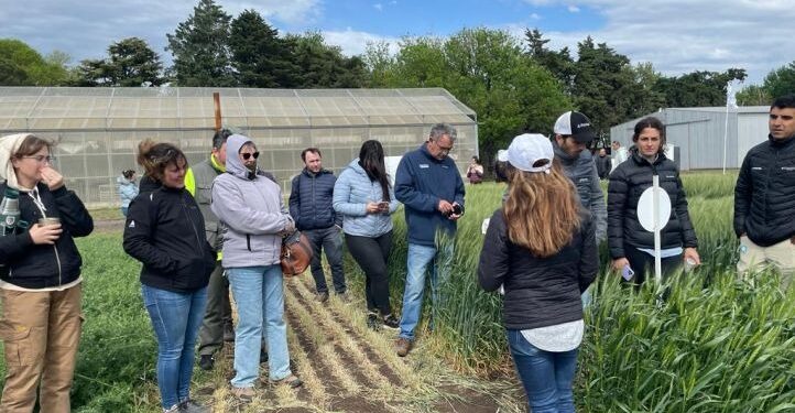 Producir con biológicos, repensar hábitos y prácticas de manejo