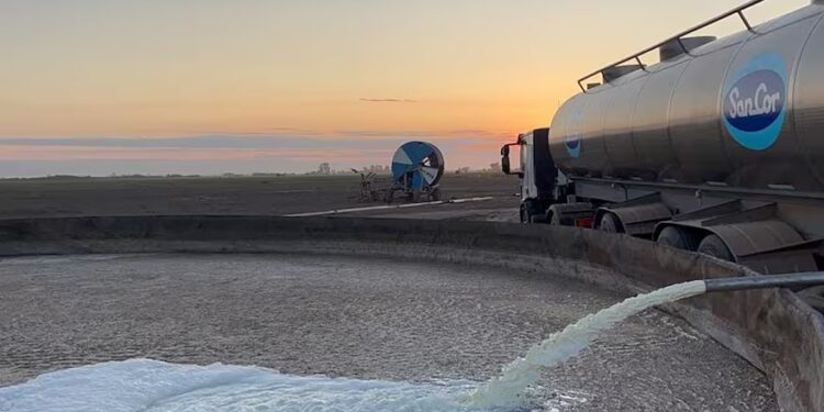 “Es terrible, doloroso y espantoso”: SanCor tuvo que tirar más de 100.000 litros de leche