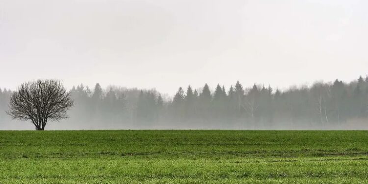 Lluvias en Tucumán: su impacto en el sector agropecuario y el pronóstico para los próximos meses