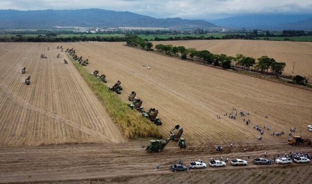 Ayer finalizó la Zafra 2023 en el Ingenio Ledesma