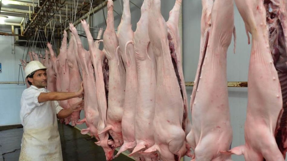 En los cerdos, la faena va por un año récord