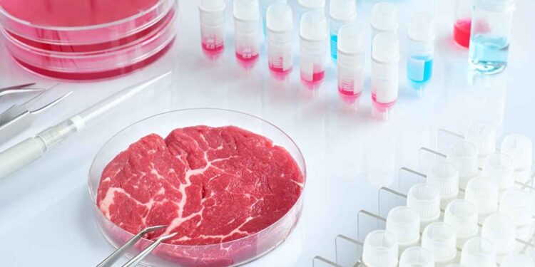 ¿Se acabó el boom de la carne artificial?: por qué varios países analizan prohibirla