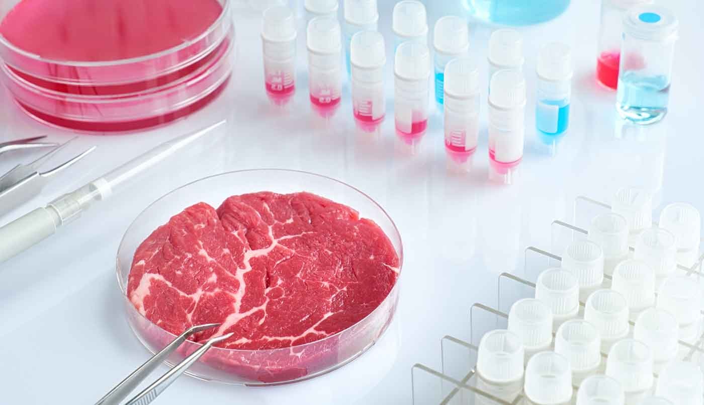 ¿Se acabó el boom de la carne artificial?: por qué varios países analizan prohibirla