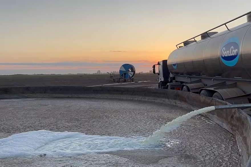 Conflicto con un gremio: SanCor podría dejar de recibir leche para no tener que tirarla