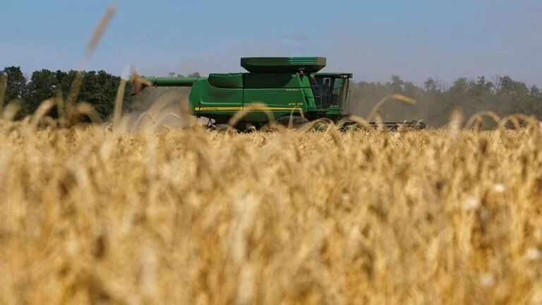 Dólares claves para el próximo gobierno: a partir de diciembre podrían ingresar más de USD 3.600 millones por trigo y cebada