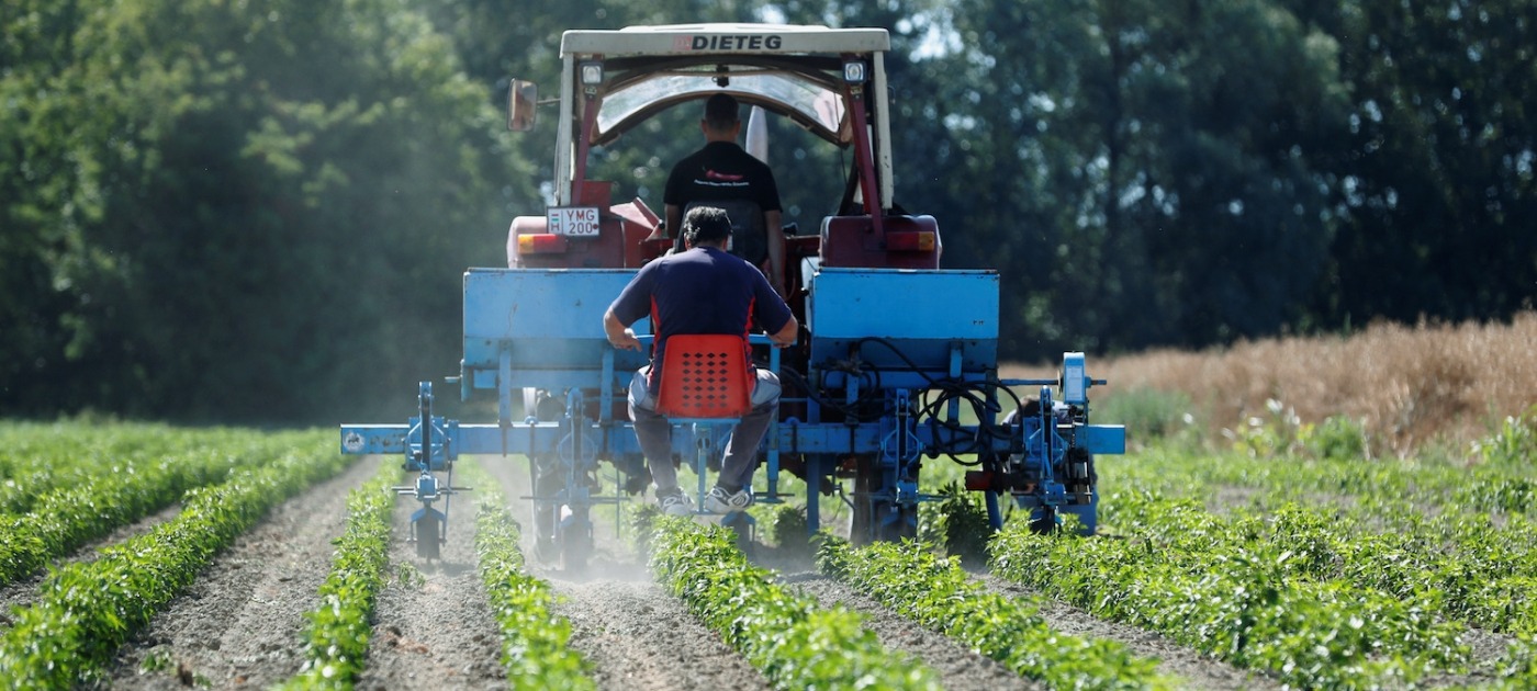 La industria de fertilizantes sigue preocupada por las importaciones y hace una advertencia por el maíz tardío