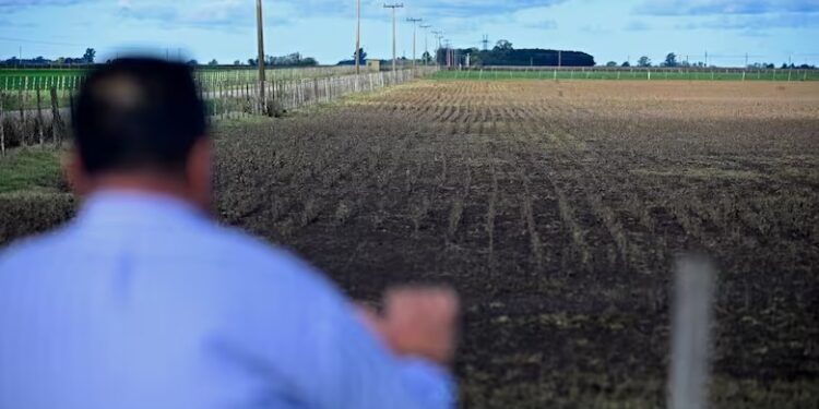 “Miedo innecesario”: en el gobierno descartan un “impuestazo” a pequeños y medianos productores