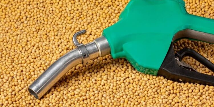 Tras la crisis de los combustibles, el gobierno otorgó fuertes aumentos al bioetanol y al biodiésel
