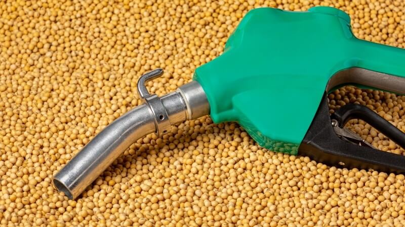 Tras la crisis de los combustibles, el gobierno otorgó fuertes aumentos al bioetanol y al biodiésel