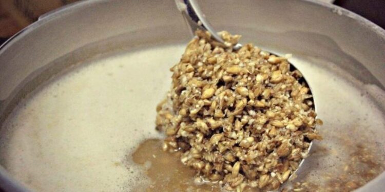 Bagazo de cebada: el gobierno aprobó su uso para la elaboración de alimentos