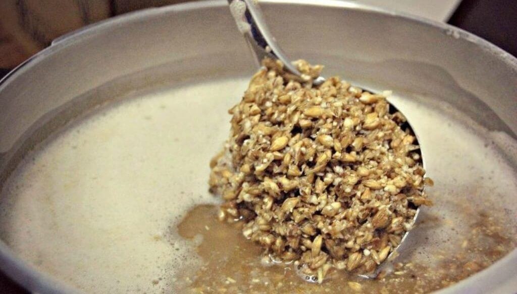 Bagazo de cebada: el gobierno aprobó su uso para la elaboración de alimentos