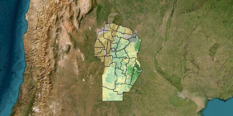 Córdoba, con nuevos mapas productivos para la ganadería y las estimaciones agrícolas