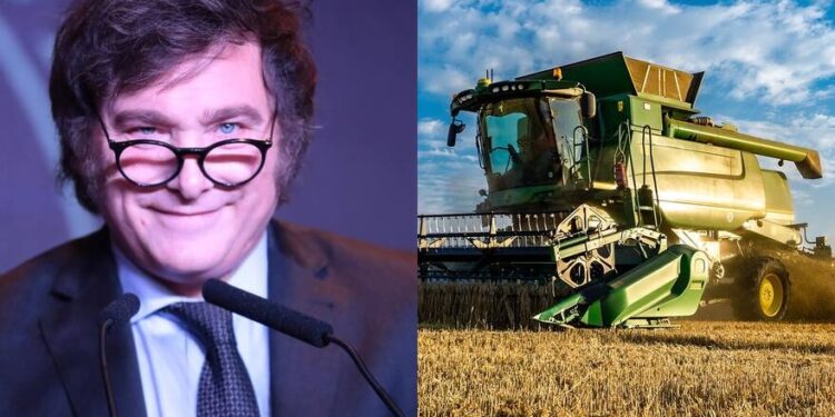 “Es muchísima plata”: por una polémica, aconsejan al campo esperar al nuevo gobierno para entregar el trigo