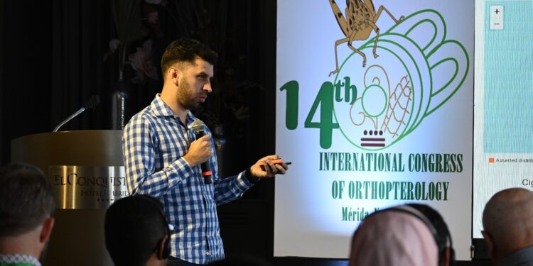 Argentina será sede del próximo Congreso Internacional sobre langostas y tucuras