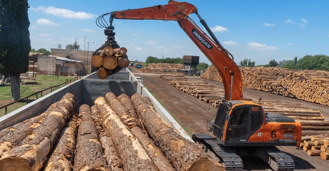 El sector forestal le pide a Javier Milei medidas para recomponer el perfil exportador