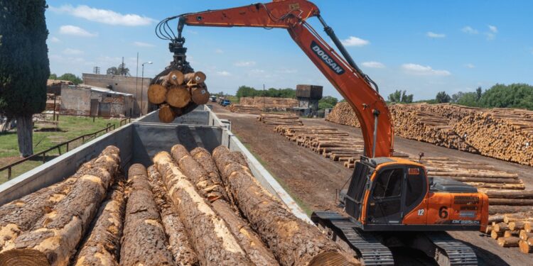 El sector forestal le pide a Javier Milei medidas para recomponer el perfil exportador