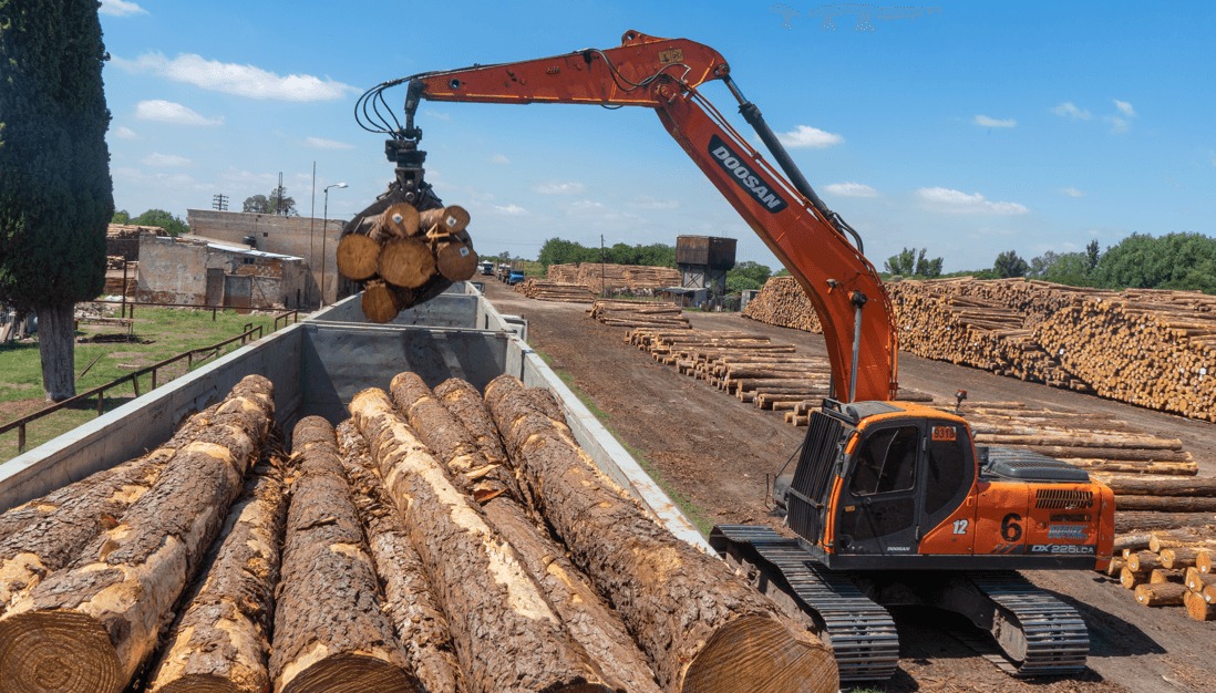 El sector forestal le pide a Javier Milei medidas para recomponer el perfil exportador