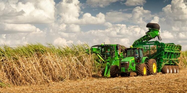 El balance y las proyecciones dejan buenas sensaciones en el sector azucarero tucumano