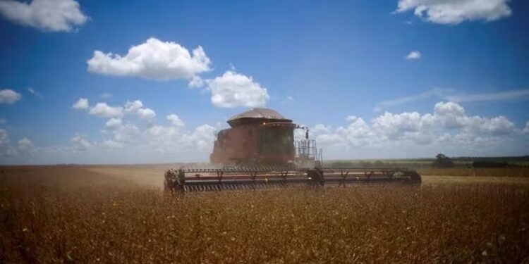 Sorpresa en el campo: por qué el gobierno cerró el registro de exportación de granos y cómo impactará la medida