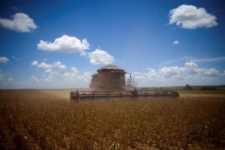 Sorpresa en el campo: por qué el gobierno cerró el registro de exportación de granos y cómo impactará la medida