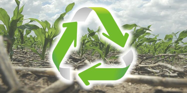 Ahorro en insumos y menos consumo de agua, beneficios de la agricultura regenerativa