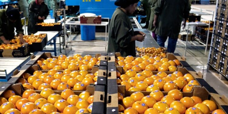 El 90% de las economías regionales está con señales de alerta o “en rojo”