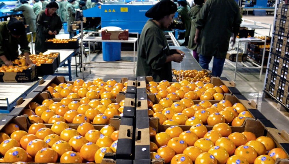 El 90% de las economías regionales está con señales de alerta o “en rojo”
