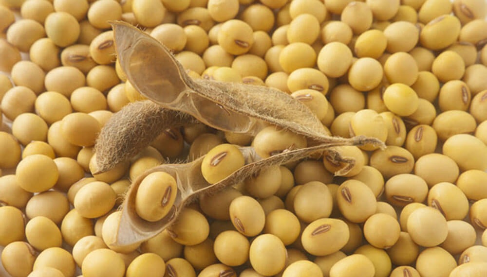 El desafío de la industria aceitera de “pasar el verano”: queda muy poca soja hasta la nueva cosecha