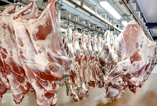 Industria paraguaya queda habilitada para exportar carne a EE.UU