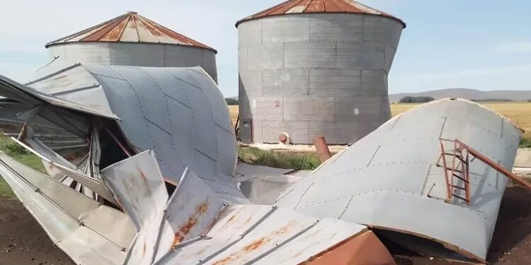 Caída de árboles, granizadas, voladuras de galpones y destrucción de silos: los efectos del temporal en la región pampeana