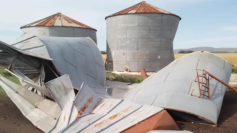 Caída de árboles, granizadas, voladuras de galpones y destrucción de silos: los efectos del temporal en la región pampeana