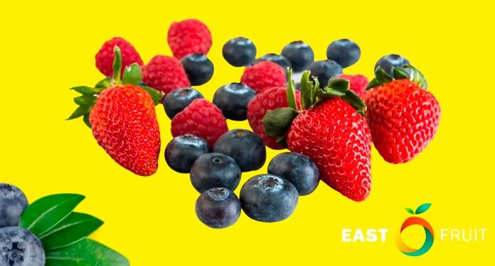 Los Berries superan a los plátanos en el comercio mundial
