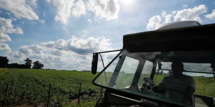 Ley de Tierras: el DNU de Milei derogó la norma que restringe la venta de campos a extranjeros