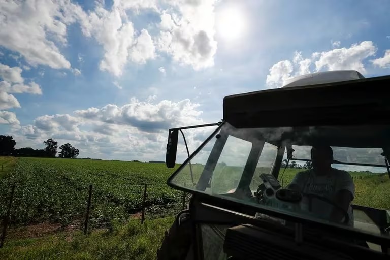 Ley de Tierras: el DNU de Milei derogó la norma que restringe la venta de campos a extranjeros