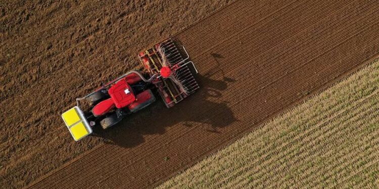 Dentro de un extenso DNU, Milei derogó varias leyes que regulan la actividad agropecuaria: ¿Cuáles son?