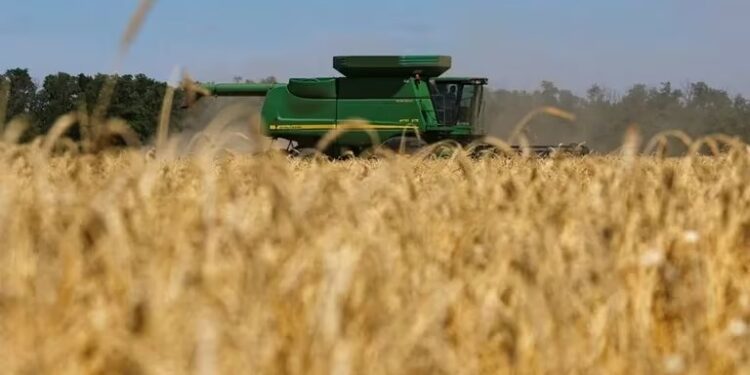 Las exportaciones agroindustriales se desplomaron 47% con pérdidas de casi USD 1.900 millones
