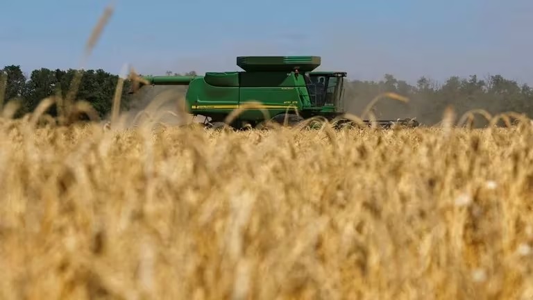Las exportaciones agroindustriales se desplomaron 47% con pérdidas de casi USD 1.900 millones