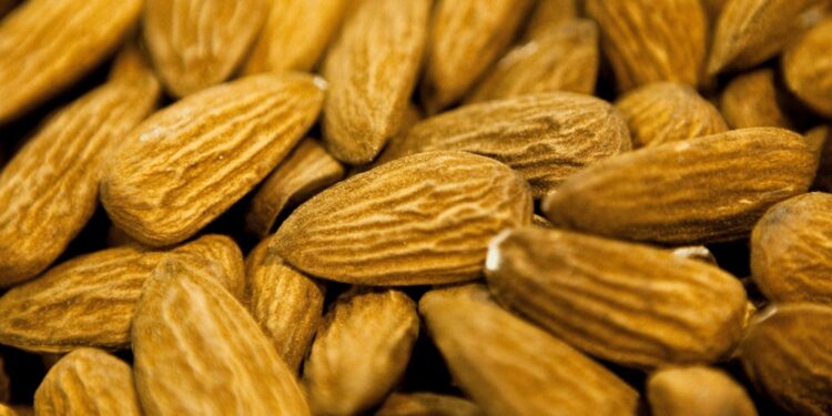 Las gestiones dieron fruto y Brasil abre su mercado a las almendras argentinas