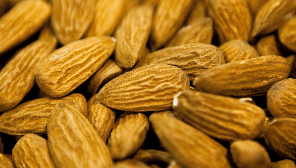 Las gestiones dieron fruto y Brasil abre su mercado a las almendras argentinas