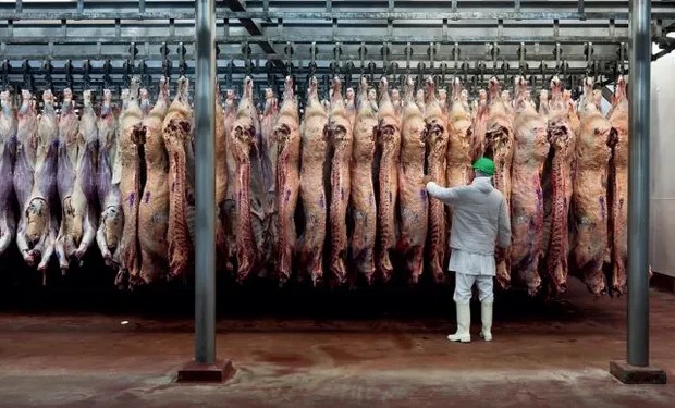 Productores se suman al «no hay plata» y critican que se cobre $834 por animal para publicidad