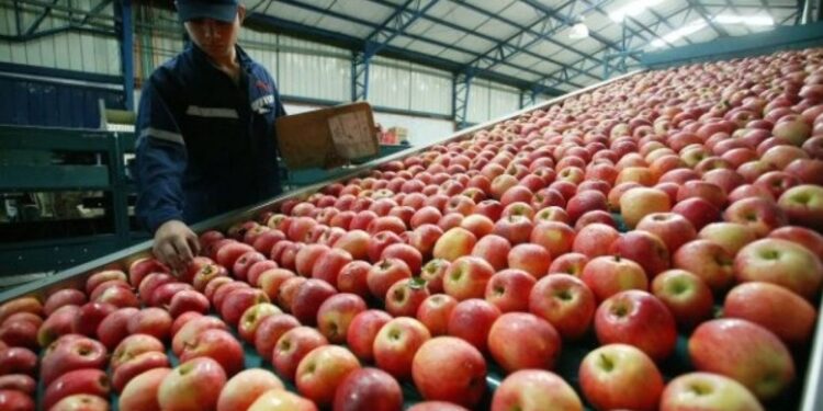 El contraste entre la frutilla y la manzana, símbolos de una nueva foto de la brecha de precios en los alimentos