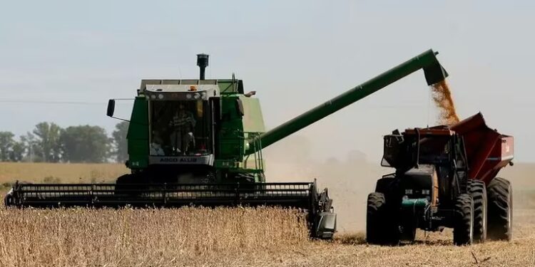 Las exportaciones agroindustriales perdieron casi USD 19.000 millones en 2023