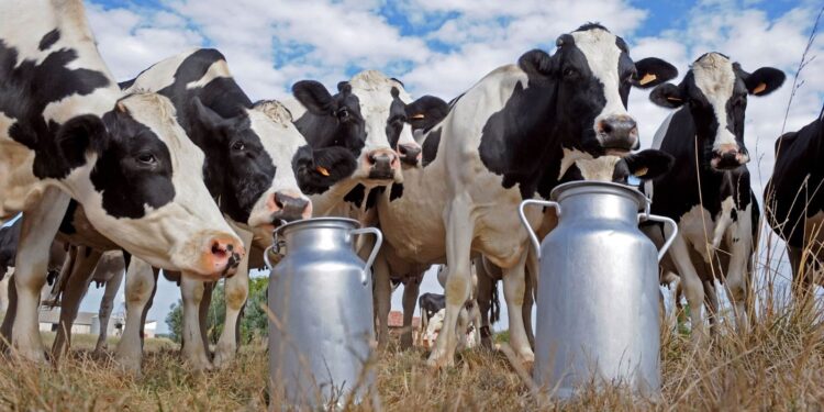 Federación Agraria le pidió a los diputados que no aprueben las reformas “a las apuradas”