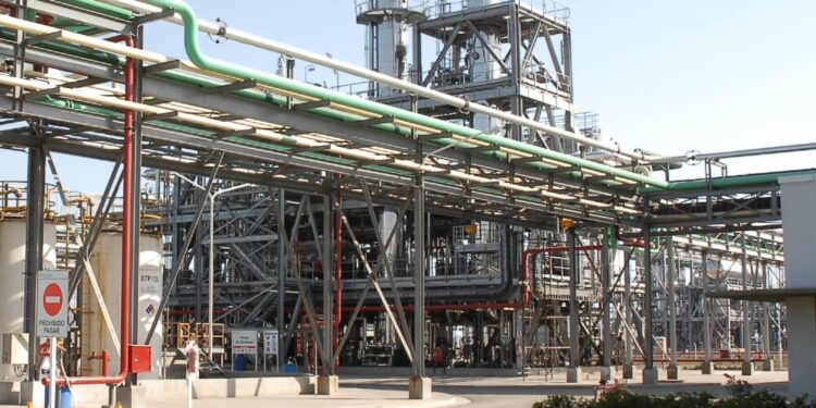 Exportadores apoyan la Ley Ómnibus, pero piden llevar el corte al 15% para 2026