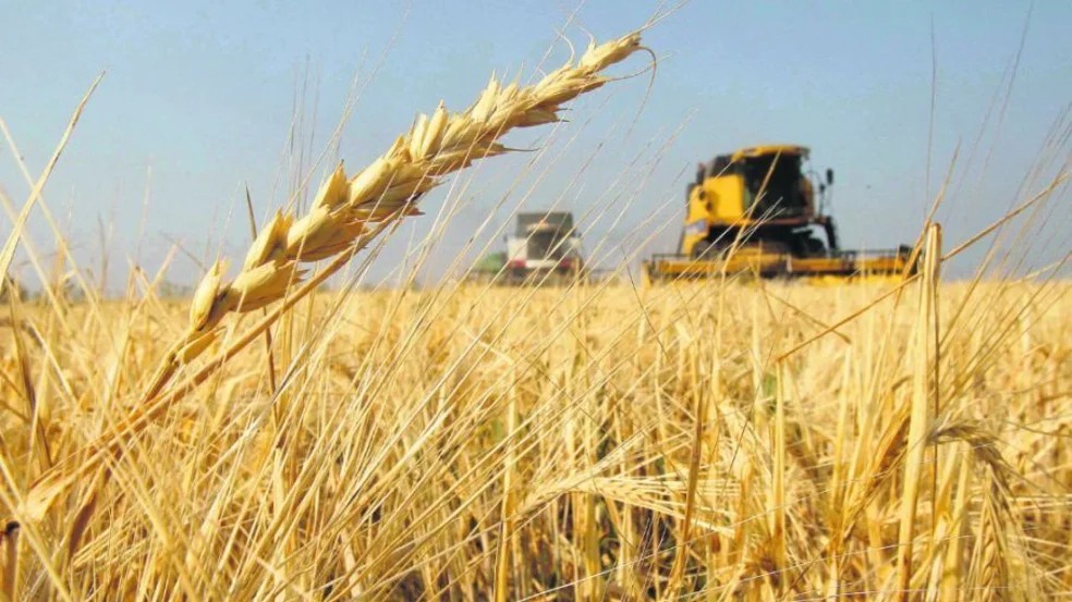 Argentina podrá exportar trigo a China por primera vez
