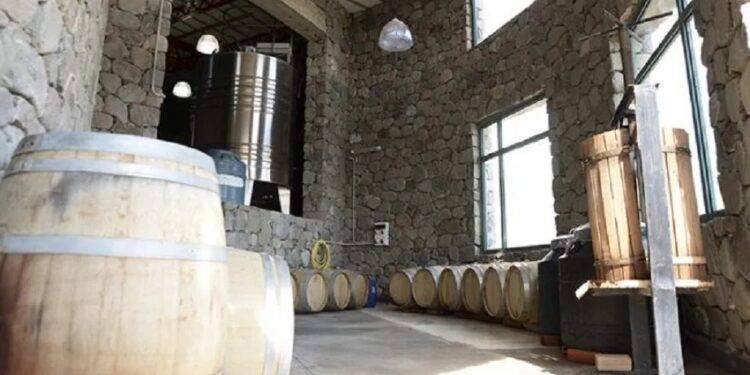 Todo listo para el primer encuentro del vino del lagar Amaicheño