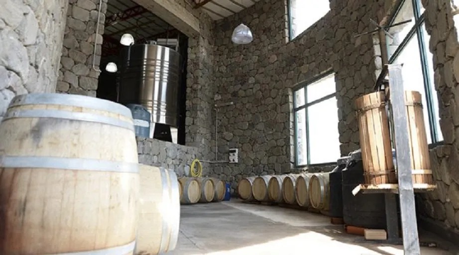Todo listo para el primer encuentro del vino del lagar Amaicheño