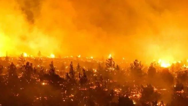 Chile: ascienden a 112 los muertos por los incendios forestales